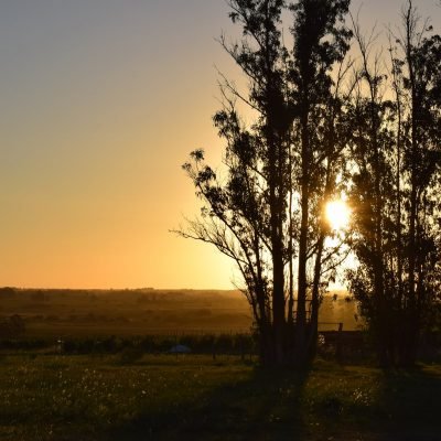 158281091_10215973585690913_5799677464686457496_n