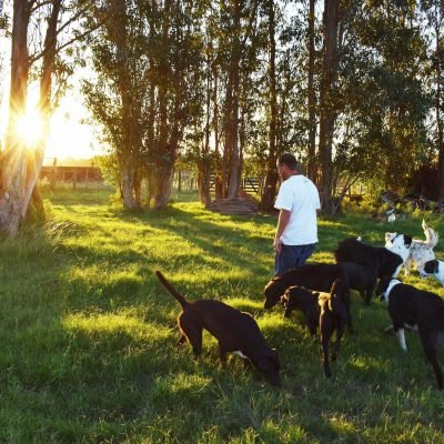 158910156_10215973593091098_4667170494573273539_n