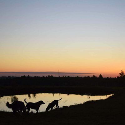 202100794_10216569837196828_265758516851989961_n