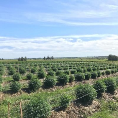 WhatsApp Image 2022-05-13 at 23.23.15 (3)